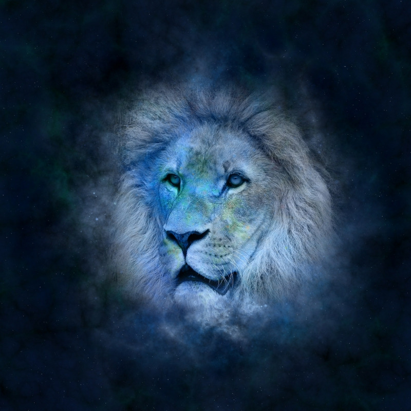 獅子座一生只為面子與榮耀而活